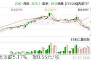 ST阳光下跌5.17%，报0.55元/股