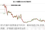 前5月最牛股票基金TOP20：最高涨超23% 资源、周期、沪港通主题表现出色