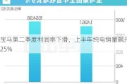 宝马第二季度利润率下滑，上半年纯电销量飙升25%