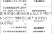 国寿财险石嘴山市惠农区支公司被罚6.5万元：因给予投保人合同约定以外利益