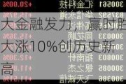 大金融发力，赢时胜大涨10%创历史新高