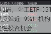 政策发力+资金加码，化工ETF（516020）标的指数阶段反弹近19%！机构：部分子行业龙头或具备历史性投资机会