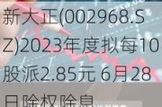 新大正(002968.SZ)2023年度拟每10股派2.85元 6月28日除权除息