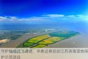 守护候鸟迁飞通道，华泰证券启动江苏滨海湿地保护示范项目