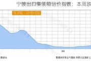 宁波出口集装箱运价指数：本周跌 2.0%