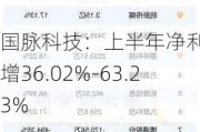 国脉科技：上半年净利润预增36.02%-63.23%