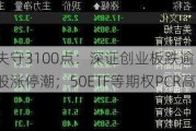 沪指失守3100点：深证创业板跌逾1%，电力股涨停潮；50ETF等期权PCR高企