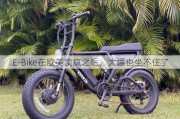 E-Bike在欧美卖疯之后，大疆也坐不住了