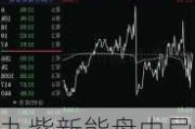 九紫新能盘中异动 急速跳水6.68%报0.310美元