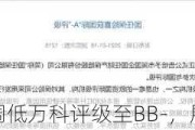 惠誉：调低万科评级至BB-，展望负面