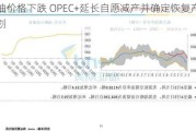 原油价格下跌 OPEC+延长自愿减产并确定恢复产量计划