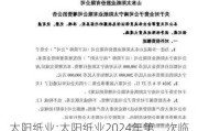 太阳纸业:太阳纸业2024年第二次临时股东大会法律意见