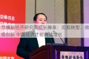 ***新经济研究院院长滕泰：宏观转型、微观创新 中国经济才能持续增长