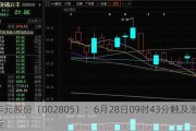 丰元股份（002805）：6月28日09时43分触及涨停板