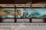 安通控股(600179.SH)：拟筹划重大资产重组事项 5月29日起停牌