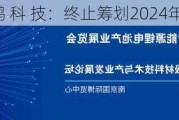 豪 鹏 科 技：终止筹划2024年员工持股***