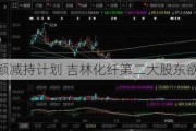 抛大额减持计划 吉林化纤第二大股东欲高位套现