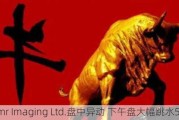 Beamr Imaging Ltd.盘中异动 下午盘大幅跳水5.06%