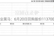 创业黑马：6月20日回购股份113700股