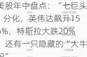 美股年中盘点：“七巨头”分化，英伟达飙升156%，特斯拉大跌20%！还有一只隐藏的“大牛股”