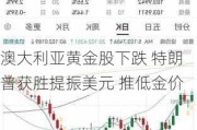 澳大利亚黄金股下跌 特朗普获胜提振美元 推低金价