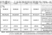 东方盛虹：上半年净利同比预降79.78%―82.67%