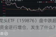 行情退潮？有色龙头ETF（159876）盘中跌超3%，失守20日线，资金逆行增仓，发生了什么？后市怎么看？