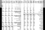 长信科技:芜湖长信科技股份有限公司2024年限制性股票激励计划实施考核管理办法