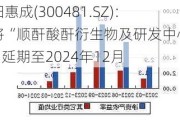 濮阳惠成(300481.SZ)：拟将“顺酐酸酐衍生物及研发中心项目”延期至2024年12月