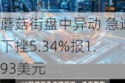 蘑菇街盘中异动 急速下挫5.34%报1.93美元