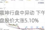 震坤行盘中异动 下午盘股价大涨5.10%