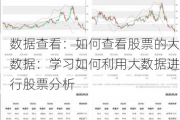 数据查看：如何查看股票的大数据：学习如何利用大数据进行股票分析