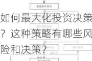 如何最大化投资决策？这种策略有哪些风险和决策？