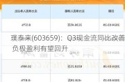 璞泰来(603659)：Q3现金流同比改善 负极盈利有望回升