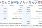 宁德时代子公司全资入股溧阳乐叶光伏能源有限公司