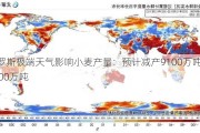 俄罗斯极端天气影响小麦产量：预计减产9100万吨至8600万吨