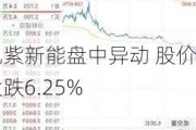 九紫新能盘中异动 股价大跌6.25%