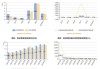 探路者：上半年净利同比预增247.04%―339.59%