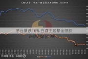 茅台暴跌16% 白酒主题基金跟跌