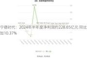 宁德时代：2024年半年度净利润约228.65亿元 同比增加10.37%