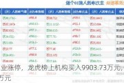 北方铜业涨停，龙虎榜上机构买入9903.73万元，卖出786.79万元