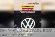 最高赔付“N+6”，大众进口车业务也要裁员？大众中国曾称“正提升各部门效率”