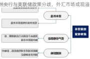 Amundi Investment Institute：欧洲央行与美联储政策分歧，外汇市场或现溢出效应