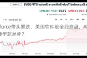 Salesforce带头暴跌，美国软件股全线崩盘，AI时代不转型就是死？