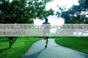 兴全绿色投资混合(LOF)：2024年5月净值小幅下跌，规模37.94亿元