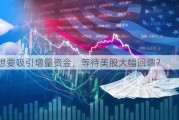 A股想要吸引增量资金，等待美股大幅回调？