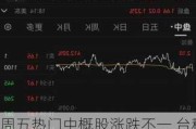 周五热门中概股涨跌不一 台积电涨0.8% 中概电动车股普跌