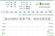 超过5000只股票下跌，板块全面受挫