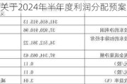 华培动力:关于2024年半年度利润分配预案的公告