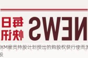 ESR因KM雇员持股计划授出的购股权获行使而发行1.01万股